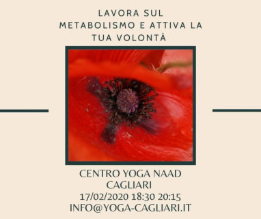Lavora sul Metabolismo e attiva la tua Volontà