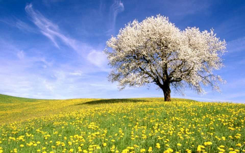Equinozio di primavera - lunedì 21 marzo 2016