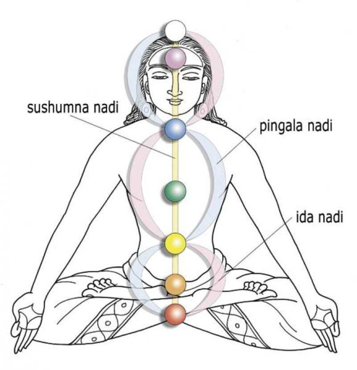 Yoga Nidra - Cagliari