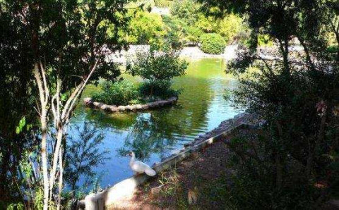 Yoga al parco di Monte Urpinu - Cagliari - 8 settembre 2015