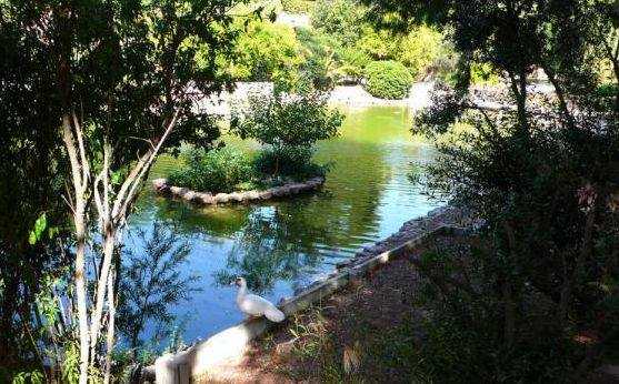 Yoga al parco di Monte Urpinu Cagliari